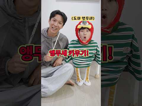 앵무새를 키우게 됐습니다!ㅋㅋㅋㅋㅋ