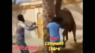 Funny Videos 🤣🤣