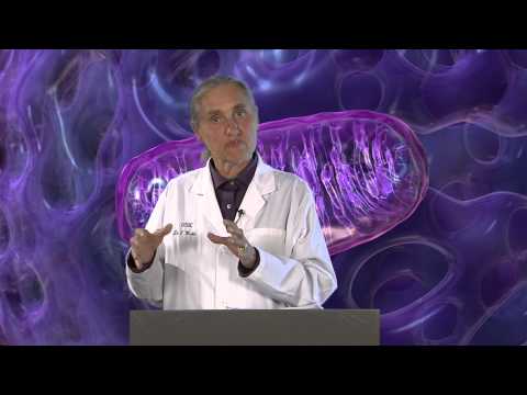 Sulfur Vegetables and Detox - Dr. Wahls 012314