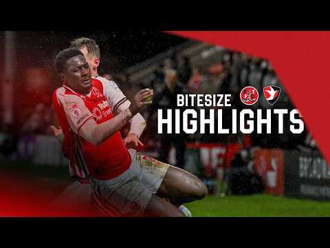 bg-highlight