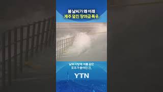 봄인데 비바람에 '깜짝' #shorts / YTN