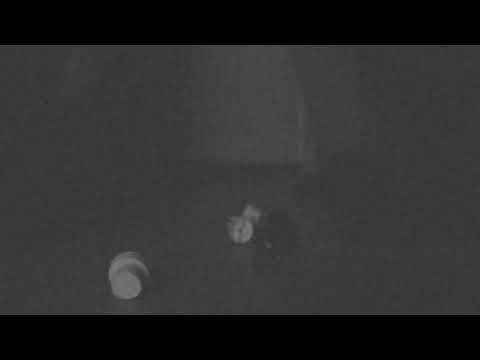 Mroku pora - Przeciwko Tobie (Video)