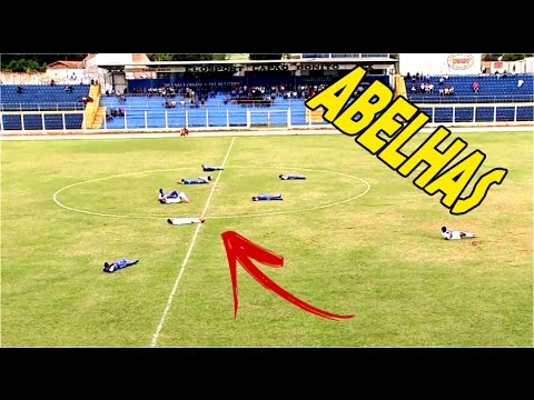 INVASÃO DE ABELHAS PARAM A PARTIDA ENTRE ITARARÉ X ELOSPORT