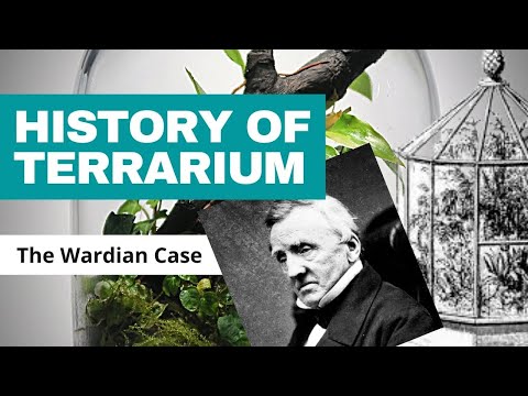 A Brief History of the Terrarium (The Wardian Case)