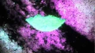 Chad Valley - Tell All Your Friends (Official Video)