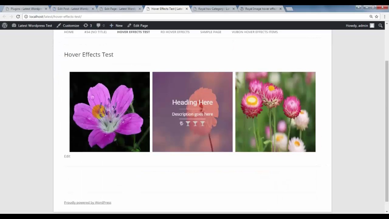 Royal Image Hover Effects Wordpress Plugin Video Tutorial - (How to Use)