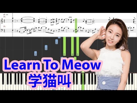 Xue mao jiao lyrics