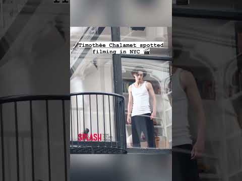splashnews - Timotheé spotted filming a Chanel Bleu commercial in New York City  🎥 Jose Perez
