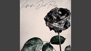 Life of a Dark Rose Music Video