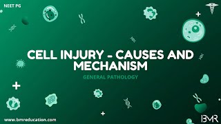 Cell injury - causes and mechanisms | General pathology
