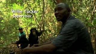preview picture of video 'Tacugama Chimpanzee Sanctuary 2012.mov'