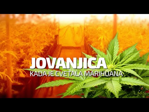 Specijalna emisija "Jovanjica - kada je cvetala marihuana"