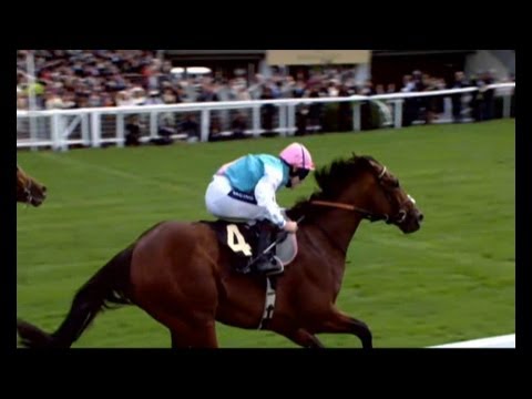 Champion horse Frankel set for final run
