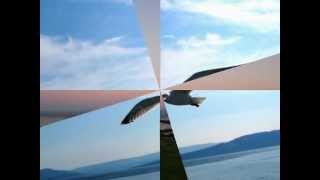 Spanky and Our Gang - 1,3,5,8 Jane