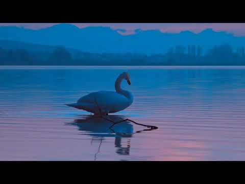 ALone on the beach drone shoot