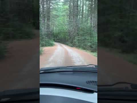 Short drive into camp