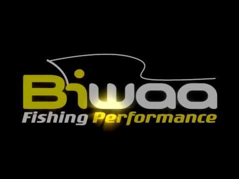 Biwaa Seven Section S 13cm 34g Carassin