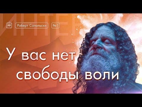 Роберт Сапольски. У вас нет свободы воли [Vert Dider] 1/6