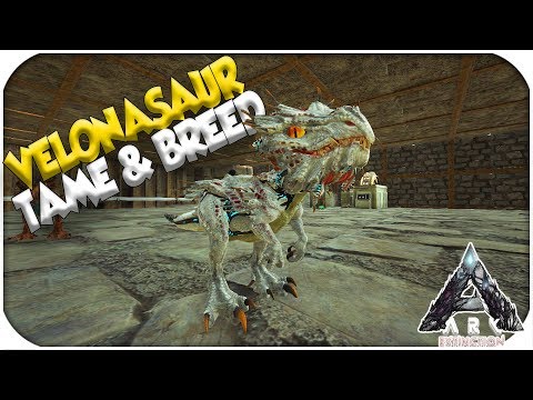OP Dinosaurs? Velonasaur Tame & Breed! ( Extinction ) - Ark Survival Evolved -