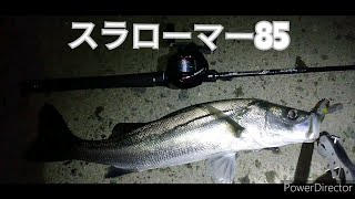 冬の荒川 シーバス調査　スラローマー85 サムルアーズ