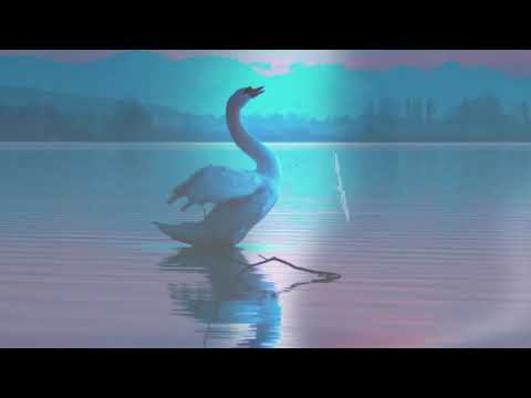Andy Moon - Flight of the Swan (Original Mix)