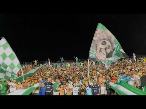 "Re drogado voy" Barra: Frente Radical Verdiblanco &bull; Club: Deportivo Cali &bull; País: Colombia