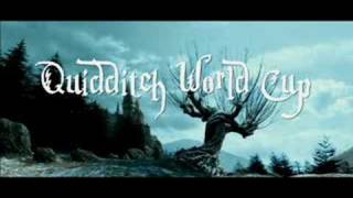 The Quiditch World Cup