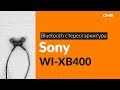 Наушники SONY WI-XB400 синий - Видео