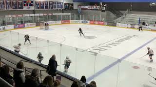 Game 26 Tied 1-1: Parker scores unassisted