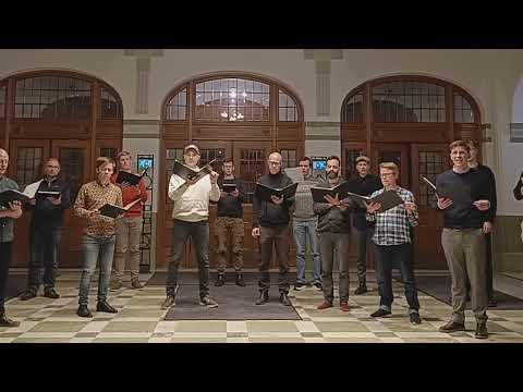 Göteborgs Manskör - Det är en ros utsprungen (vers 1)