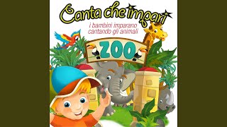 Il merlo ha perso il becco