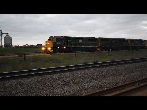 The Mighty C's C510/C506/C504/C509/C507