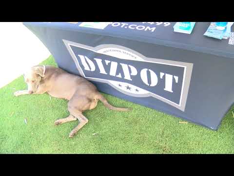 Arizona Golf Classic — Tournament Highlights