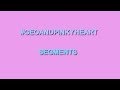GeoAndPinkyHeart Segments Collection