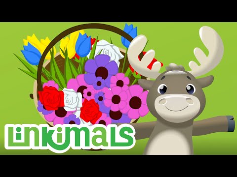 Capa de Linkimals - Colhendo flores