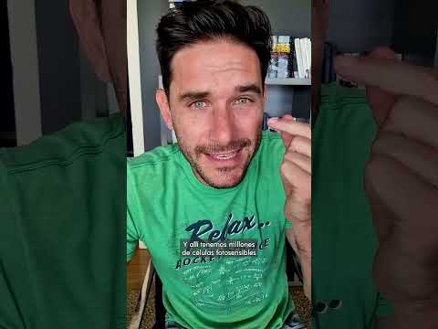 ¿Tu “verde” es igual que mi verde?