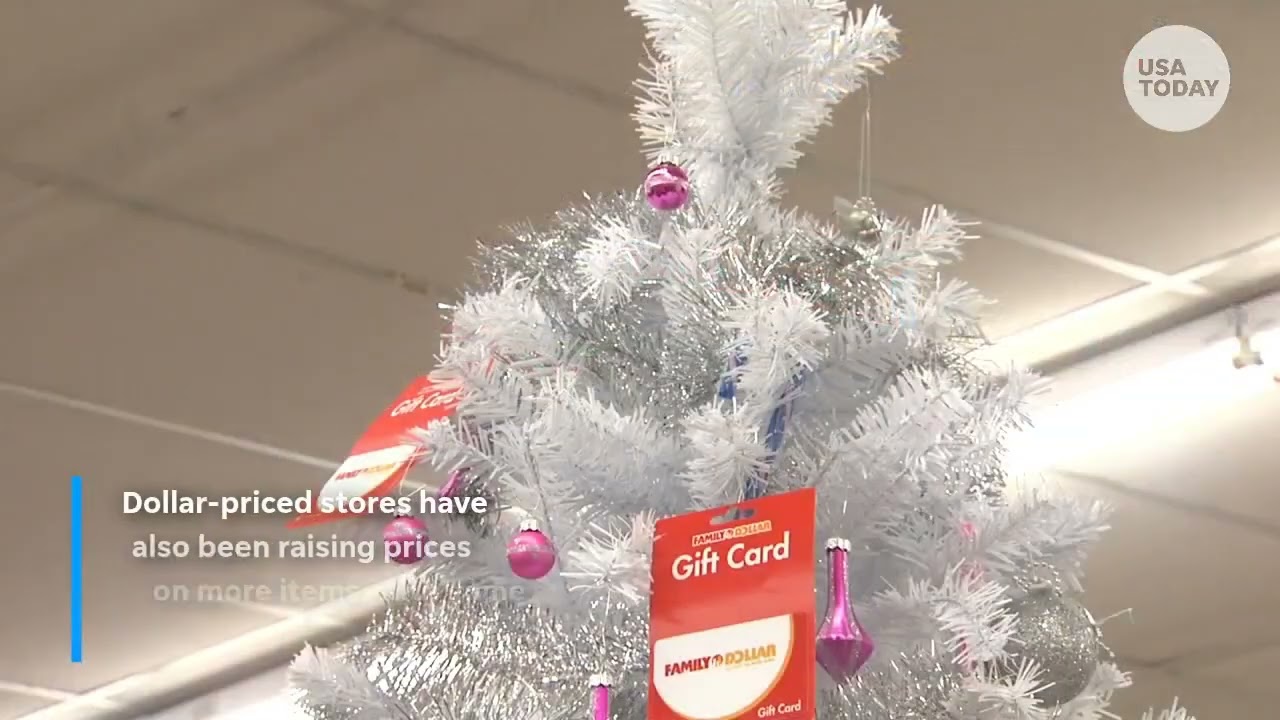 Dollar Tree adds price scanners amid rising prices