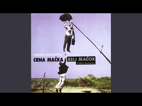 download lagu mp3 mp4 Black Cat And White Cat, download lagu Black Cat And White Cat gratis, unduh video klip Black Cat And White Cat