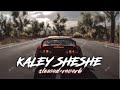Kaley Shesha Addy Nagar Perfectly Slowed And Reverb Bass Bossted Atiitude Song