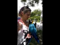Macaw And Mommy