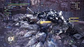 MHW　アイスボーン　２　お互いのメイン武器交換