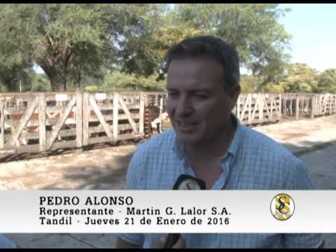 21-01-16 Nota Pedro Alonso - Martin G. Lalor S.A. - Tandil.