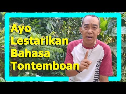 Bahasa Tontemboan Bahasa Daerah di Indonesia yang Terancam menuju