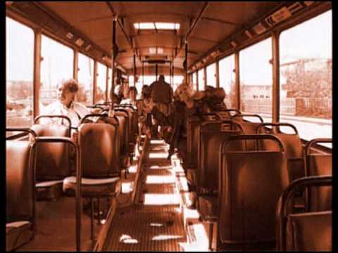 XXX Rottweiler Rabis Canis