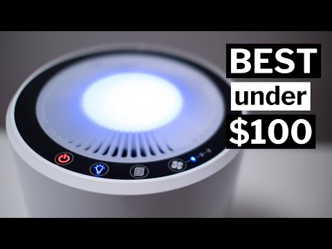 The Best Air Purifier Under $100