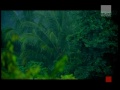 Tape Five - Love On A Rainy Day HQ