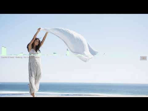 Dashfix ft Veela - Walking - No Copyright Music