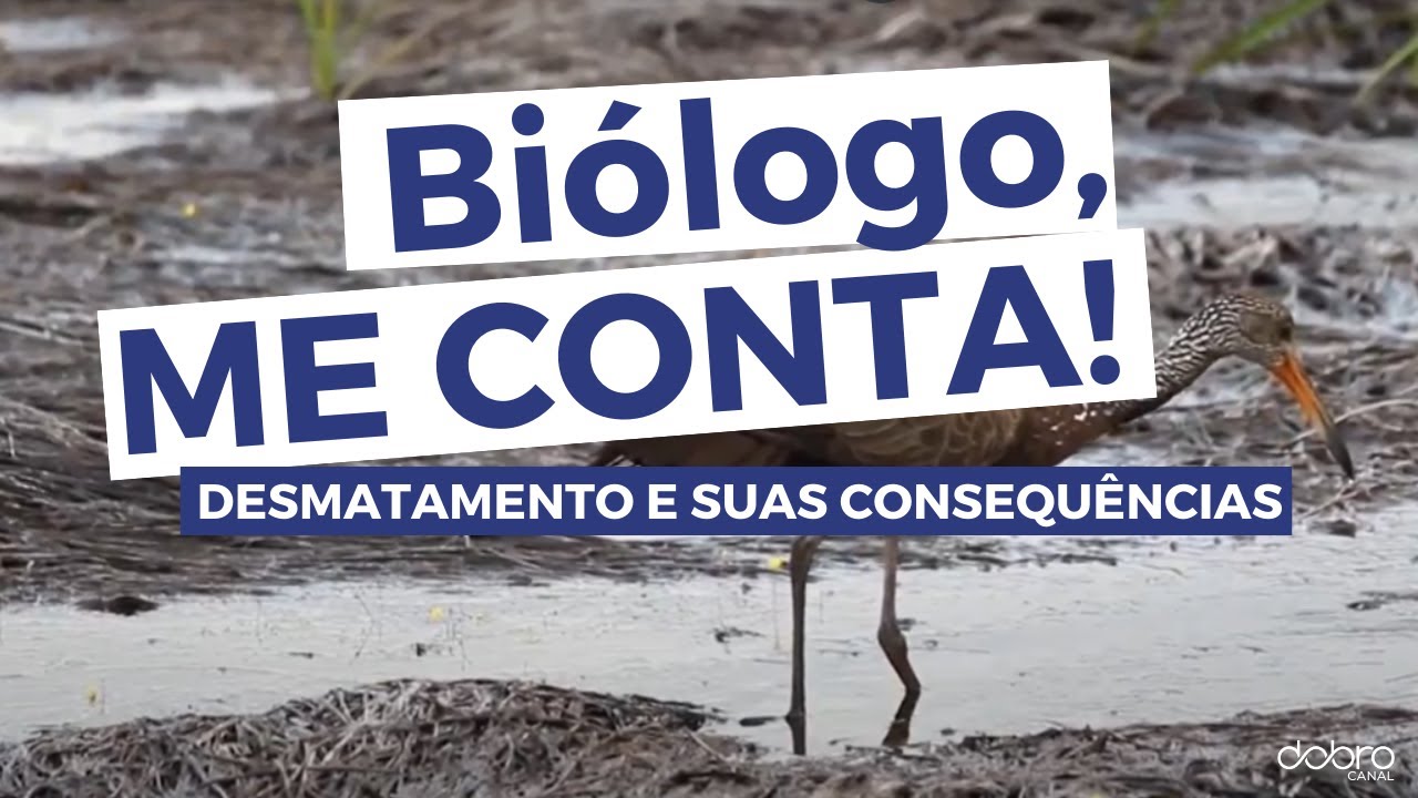 DESMATAMENTO E SUAS CONSEQUÊNCIAS - BIÓLOGO ME CONTA