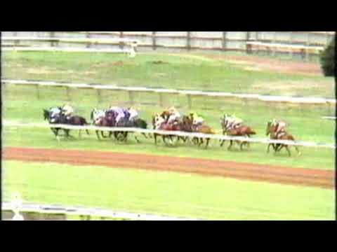 1990 VRC Queen Elizabeth Stakes - Savage Toss