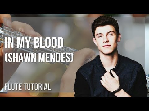 How to play In My Blood by Shawn Mendes on Flute (Tutorial)